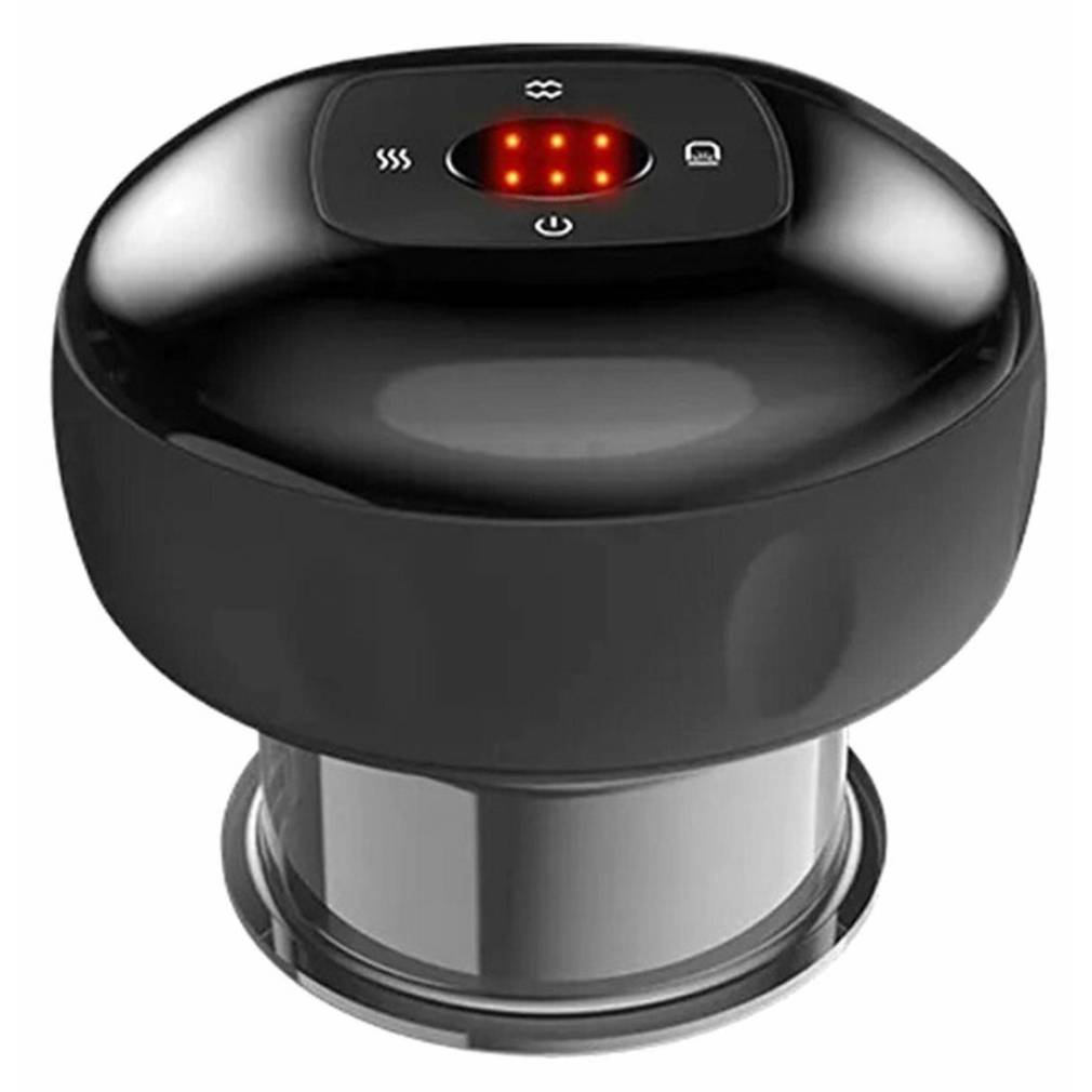 Elektriskais ķīniešu piesūceknis