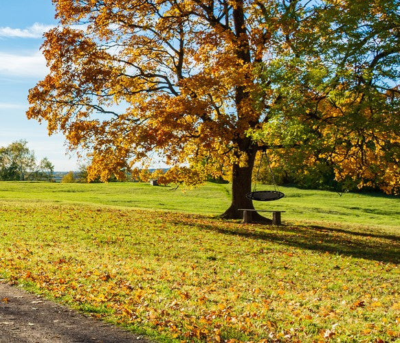 Stārķa ligzdas šūpoles 100 cm, melnas
