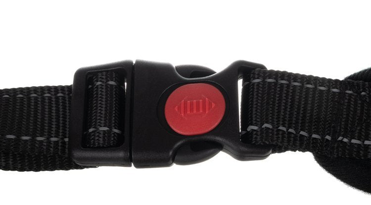 Spiediena nesaturošas suņu siksnas