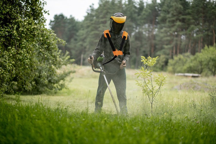 Krūmgriežu siksnas