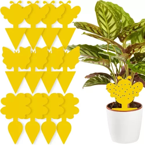 Kukaiņu līme - 12 gab. Repest