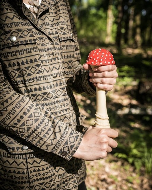 Antistresa sēne - MUŠU AGARIC