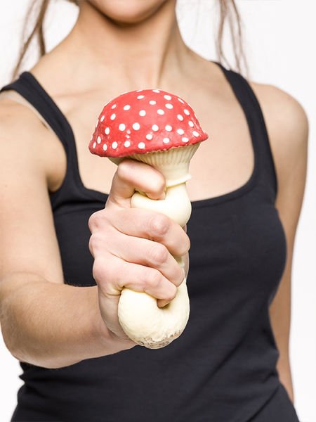 Antistresa sēne - MUŠU AGARIC