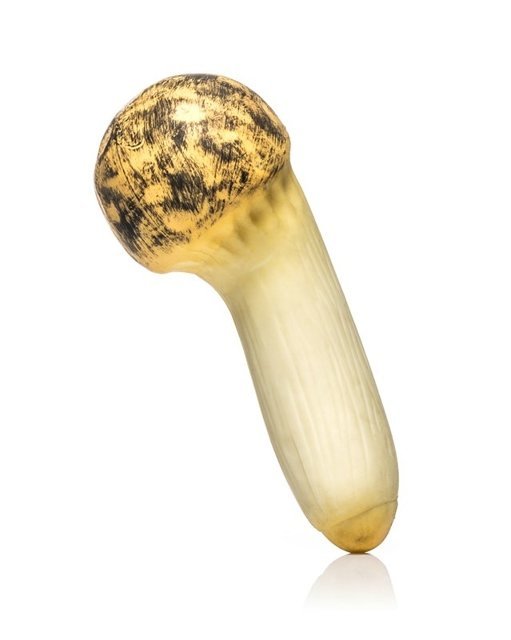 Antistresa sēne - King Trompet Mushroom