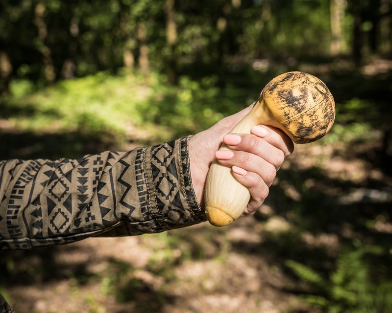 Antistresa sēne - King Trompet Mushroom