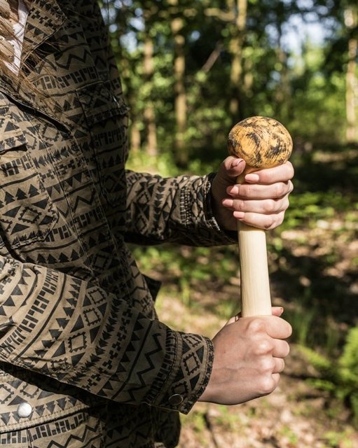 Antistresa sēne - King Trompet Mushroom