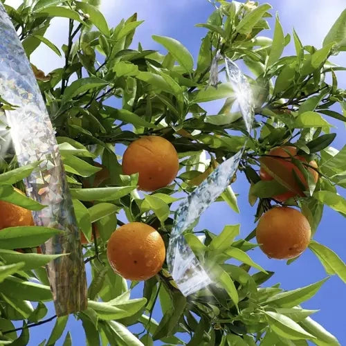 Putnu atbaidītājs - 45 m lentes Repest