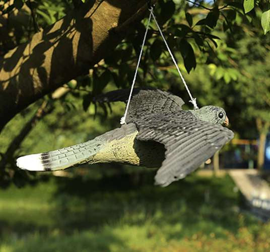 Repest putnu atbaidītājs