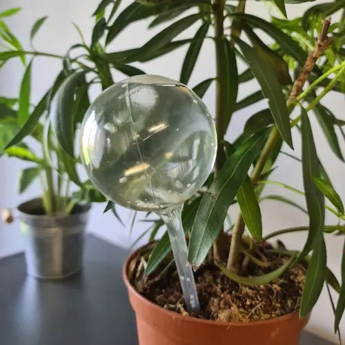 Apūdeņošanas bumbiņas - 8 gab. Gardlov