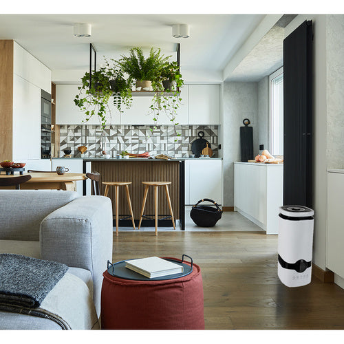 Ruhhy 22739 aromterapijas gaisa mitrinātājs