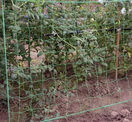 Augu atbalsta siets 2x10m Gardlov