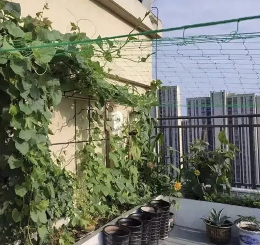 Augu atbalsta siets 2x20m Gardlov