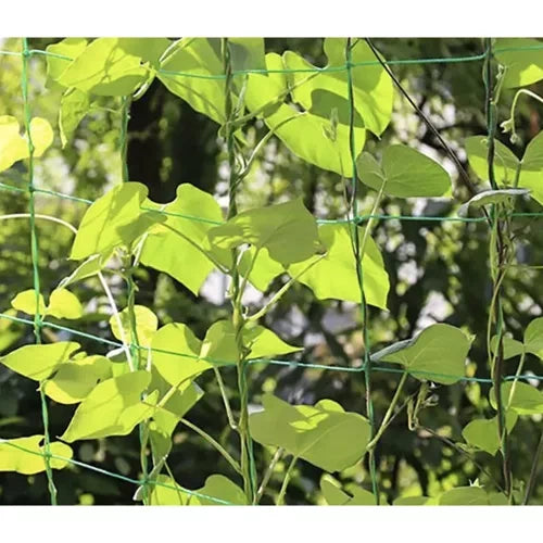 Augu atbalsta siets 2x20m Gardlov