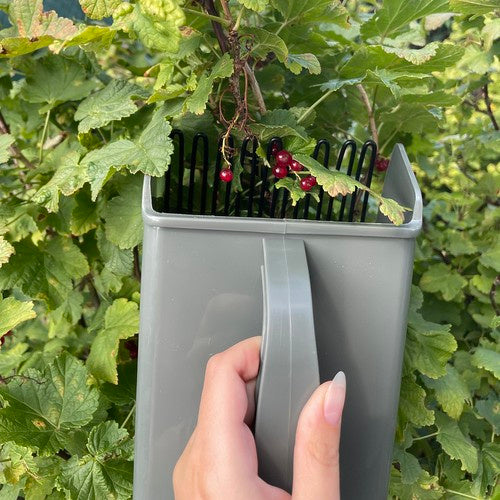 Gardlov 24249 augļu vācējs