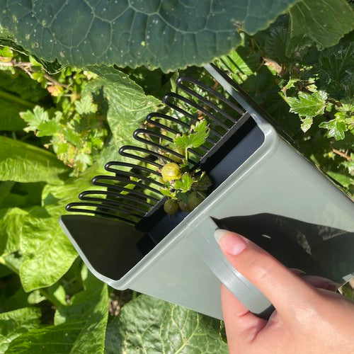 Gardlov 24249 augļu vācējs