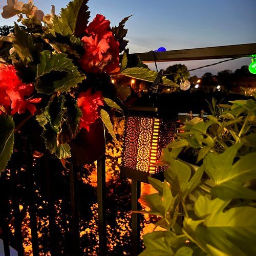 Saules lampa - Gardlov 24404 laterna