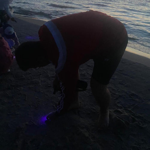 2in1 Xpe UV lukturītis Trizand