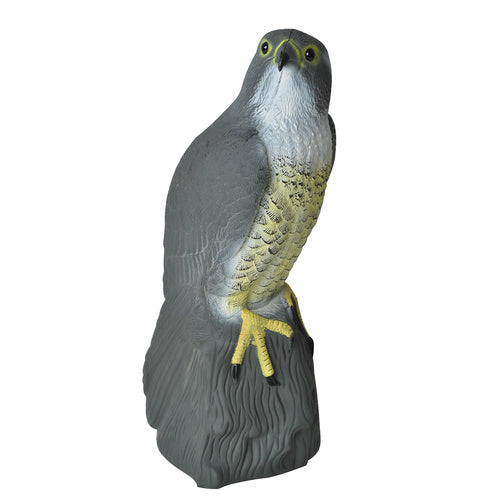 Putnu biedētājs - Piekūns