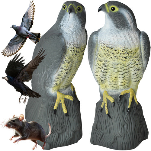 Putnu biedētājs - Piekūns