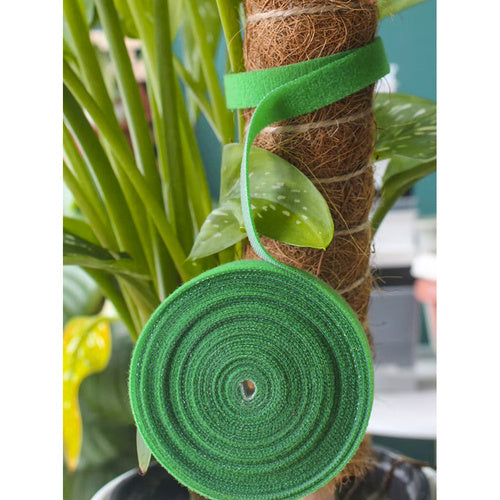 Dārza lente ar Velcro aizdari 5m Gardlov