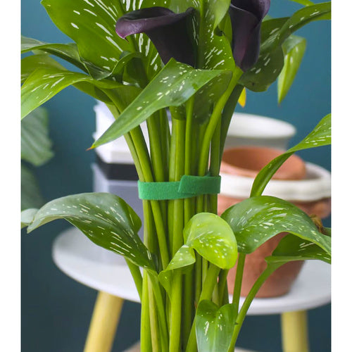 Dārza lente ar Velcro aizdari 5m Gardlov