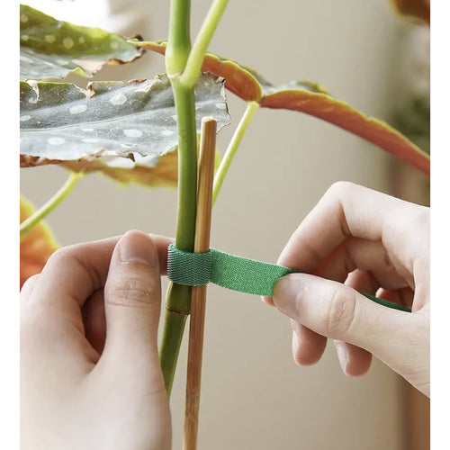 Dārza lente ar Velcro aizdari 5m Gardlov