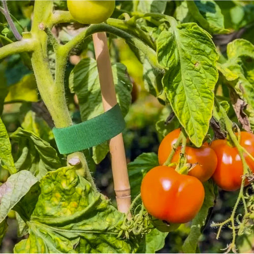 Dārza lente ar Velcro aizdari 5m Gardlov