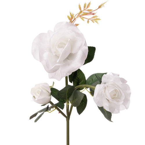 Saules lampa Rose Gardlov