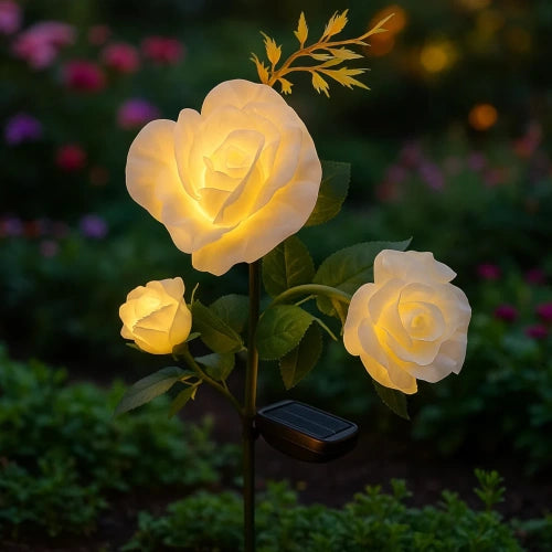 Saules lampa Rose Gardlov