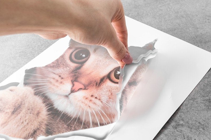 Kaķa 3D sienas uzlīme