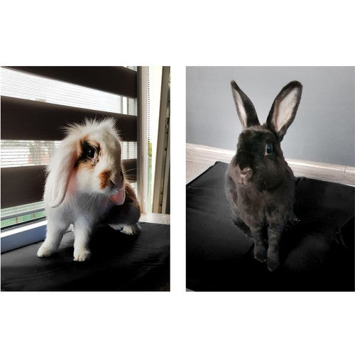 Dzesēšanas paklājiņš dzīvniekiem