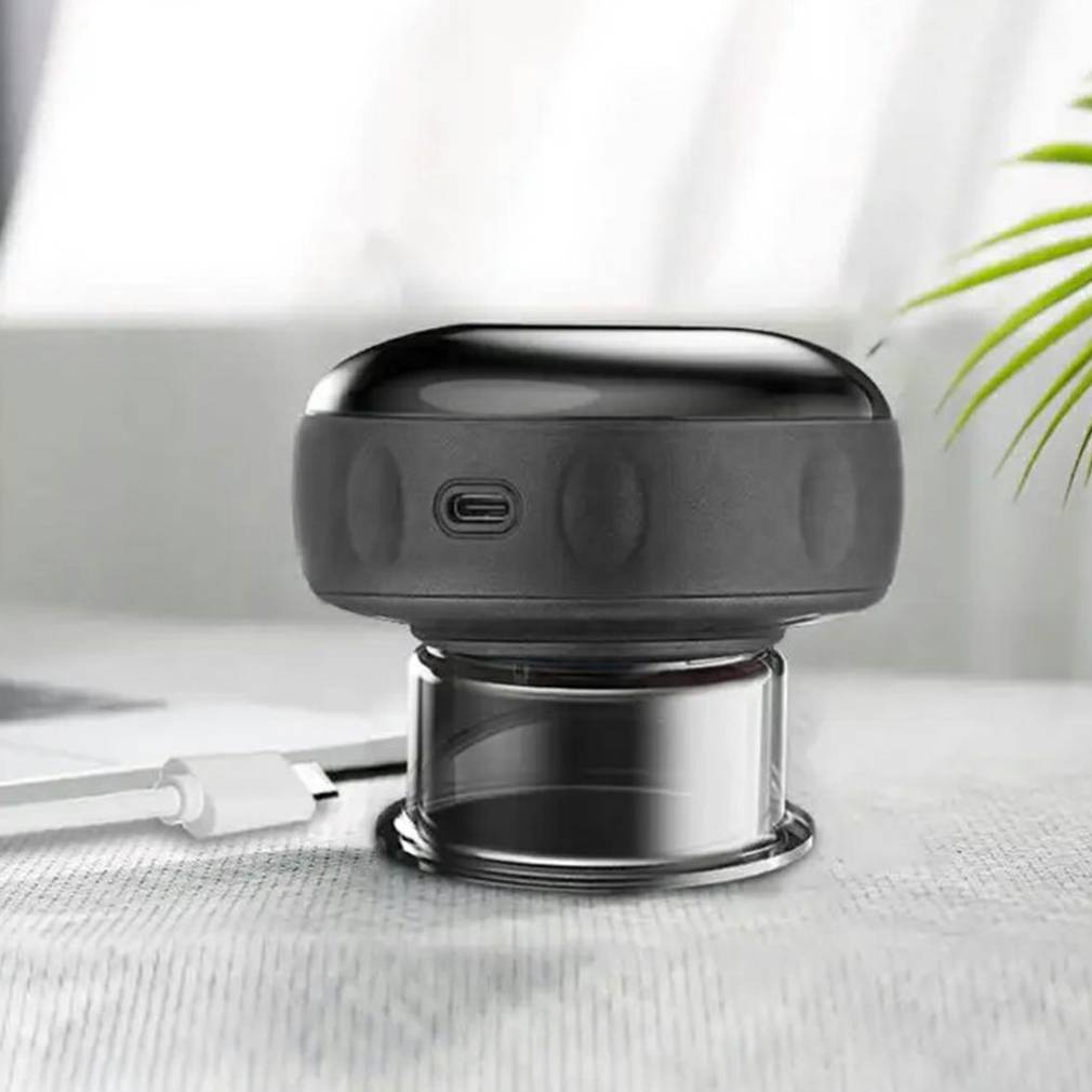 Elektriskais ķīniešu piesūceknis