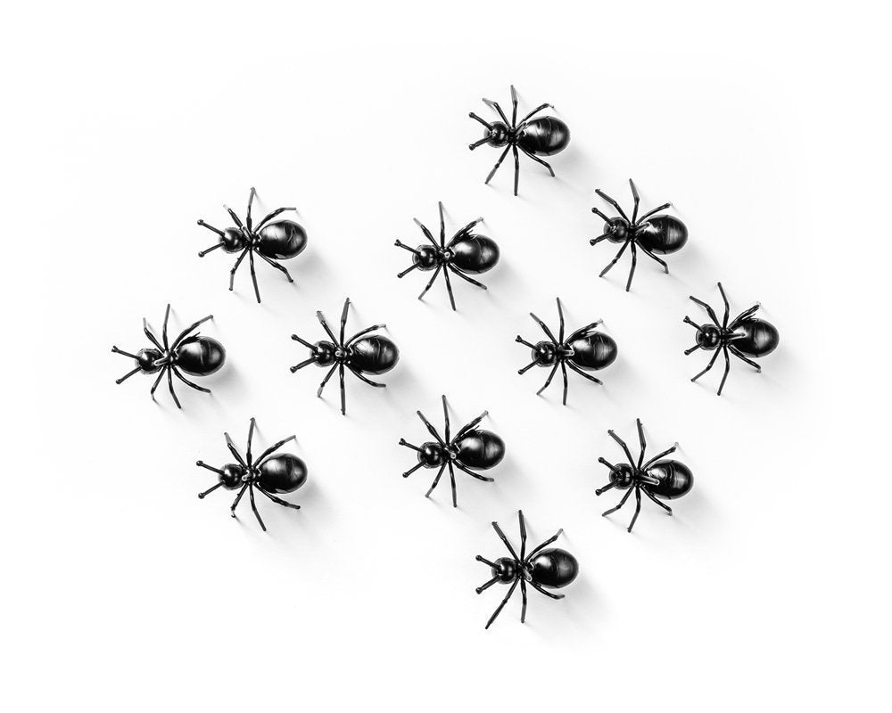 SKUDRAS ballītes izlases