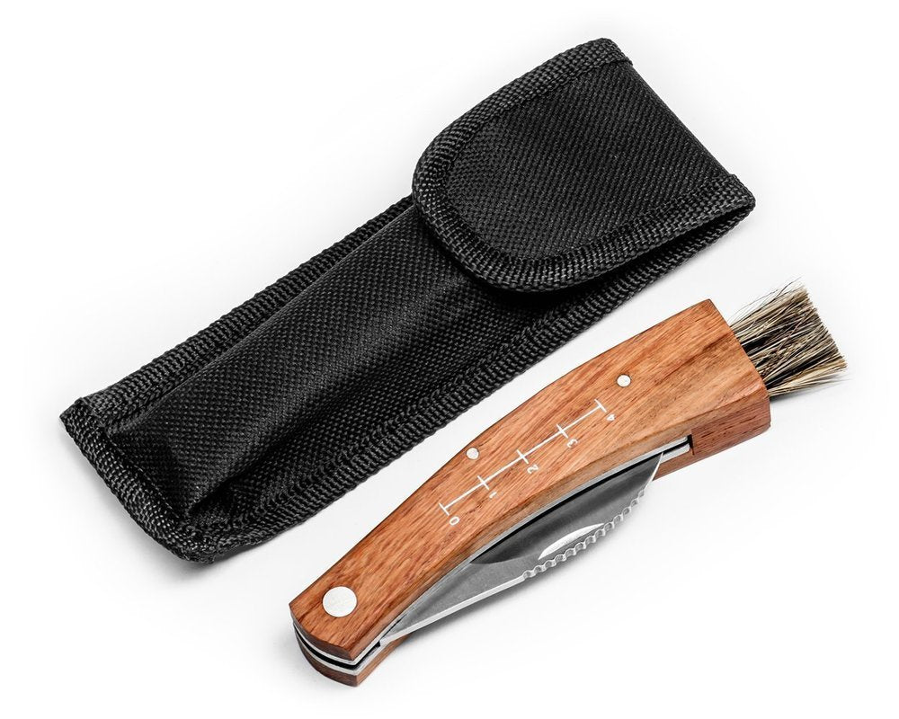 Izliekts sēņu nazis ar otu