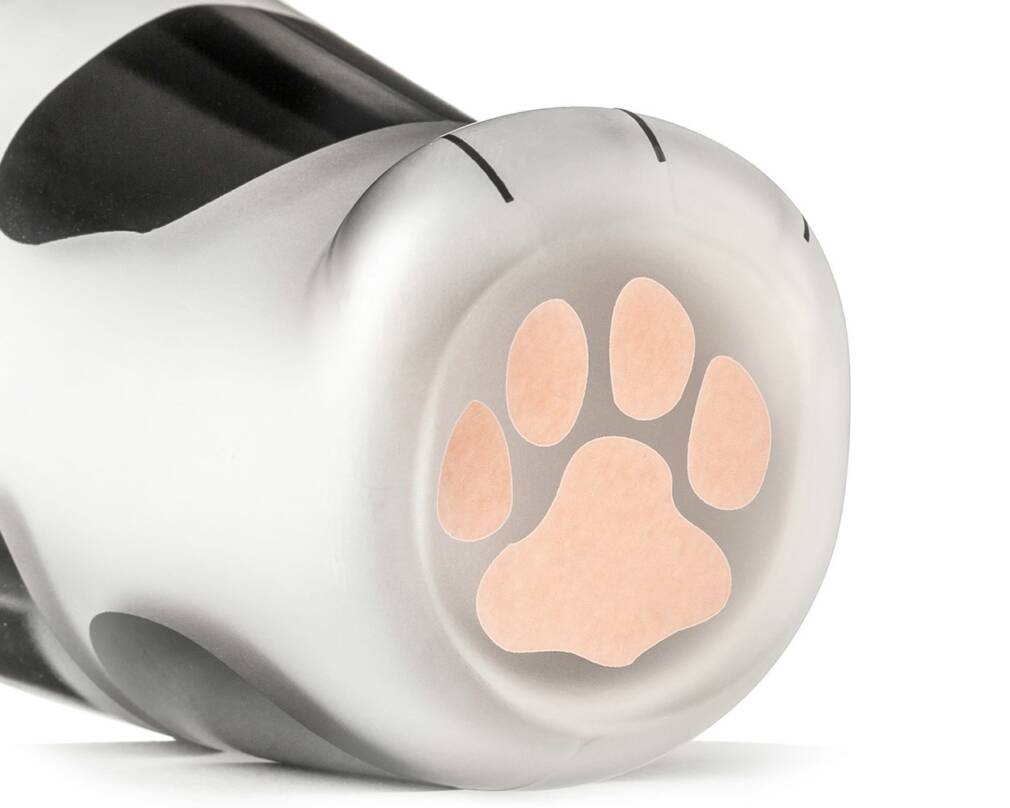 Kaķa ķepas kauss melnbalts