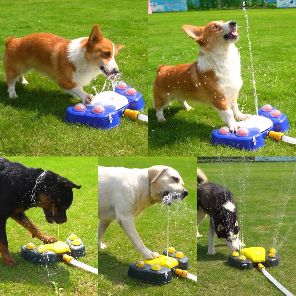 Ūdens strūklaka dzīvniekiem