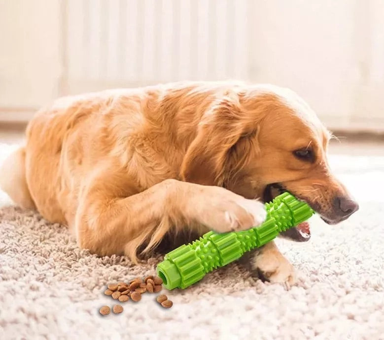 Rotaļlieta suņiem