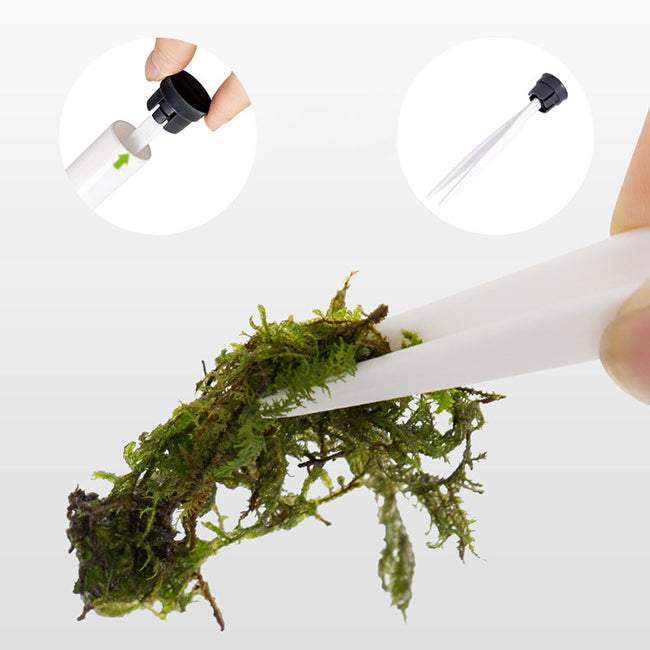 Tualetes poda birste ar izvelkamo pinceti