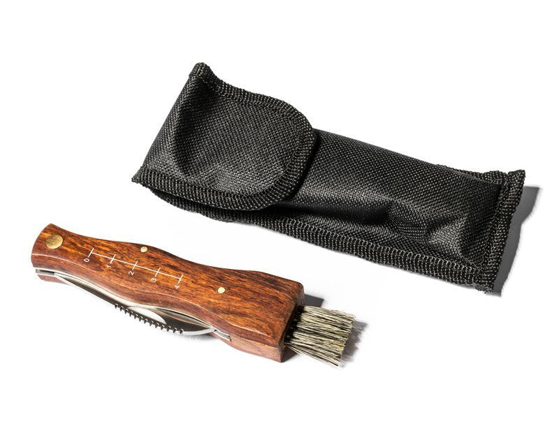 Sēņu nazis ar mēriem un otu.