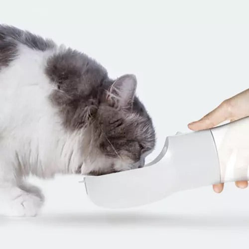 Ūdens pudele ar bļodu