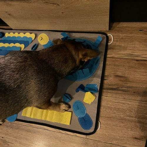 Suņu ostīšanas paklājiņš