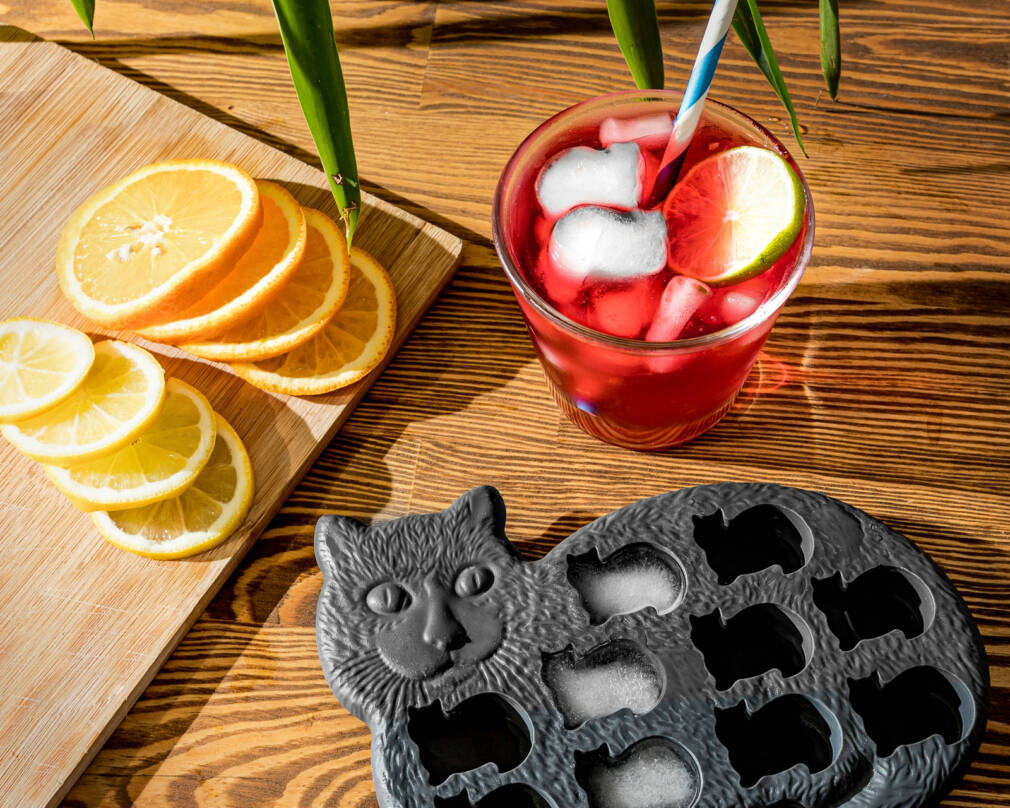 Ledus un šokolādes paliktnis KITTY