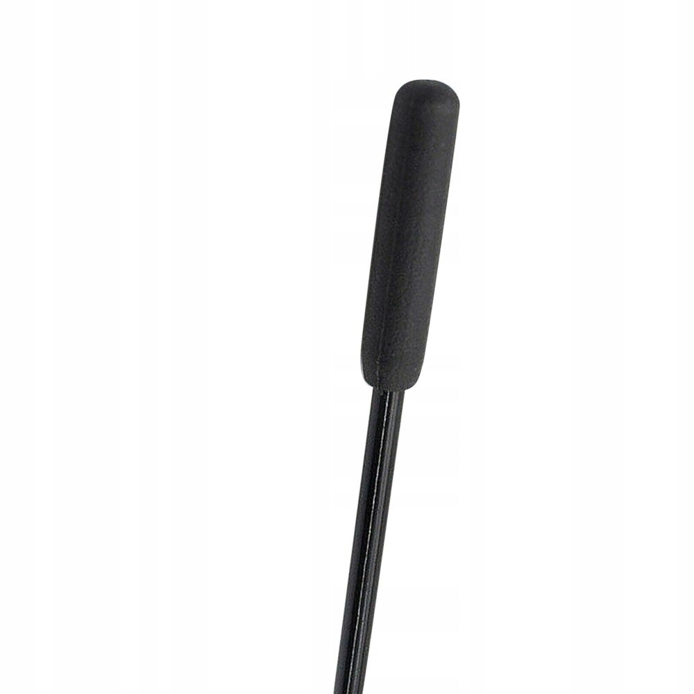 Automašīnas antena