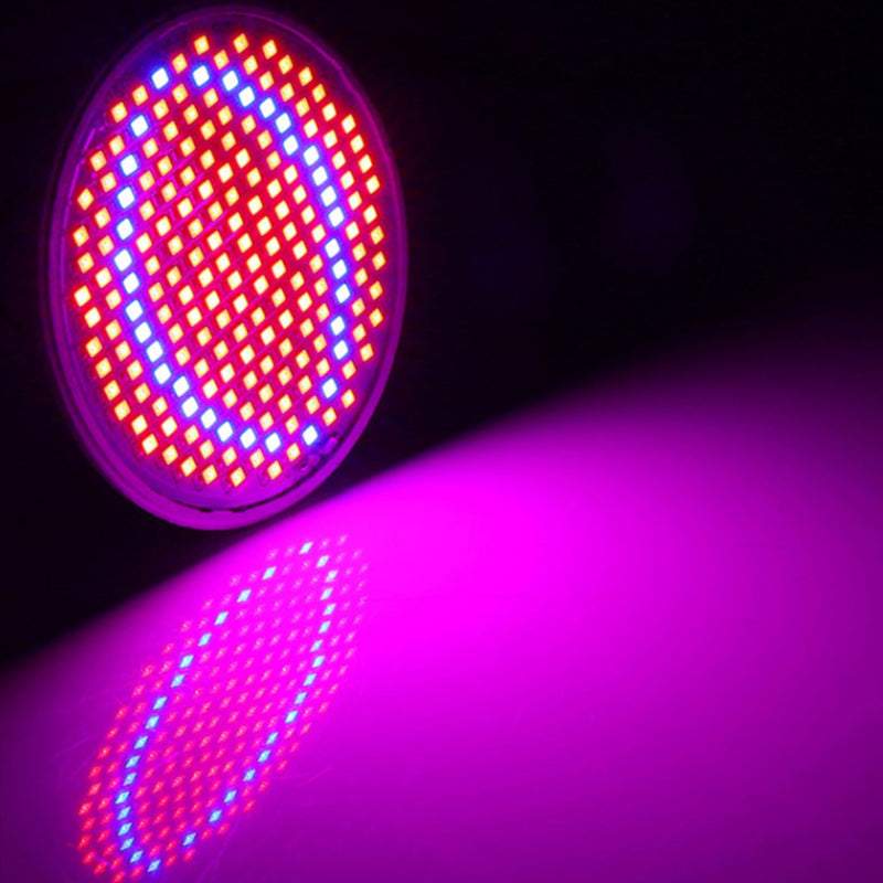 Lampa augiem sarkan zila 200 LED 20W