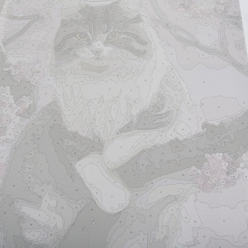 Glezno pēc skaitļiem - kaķēns