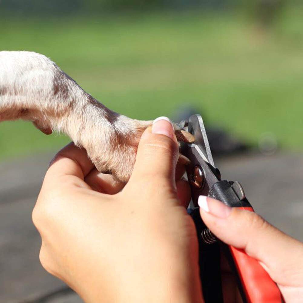 Dzīvnieku nagu šķēres