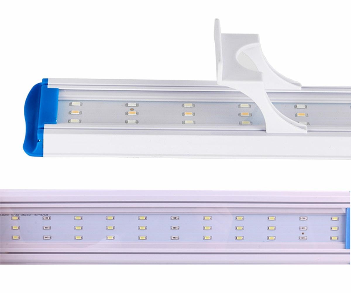 Akvārija apgaismojums