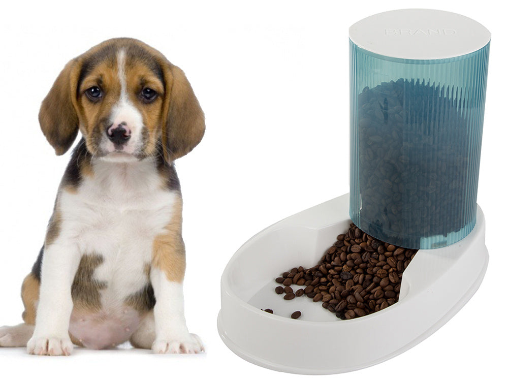 Suņu barības dozators kaķu barības bļoda automātiska sausās barības dozatora