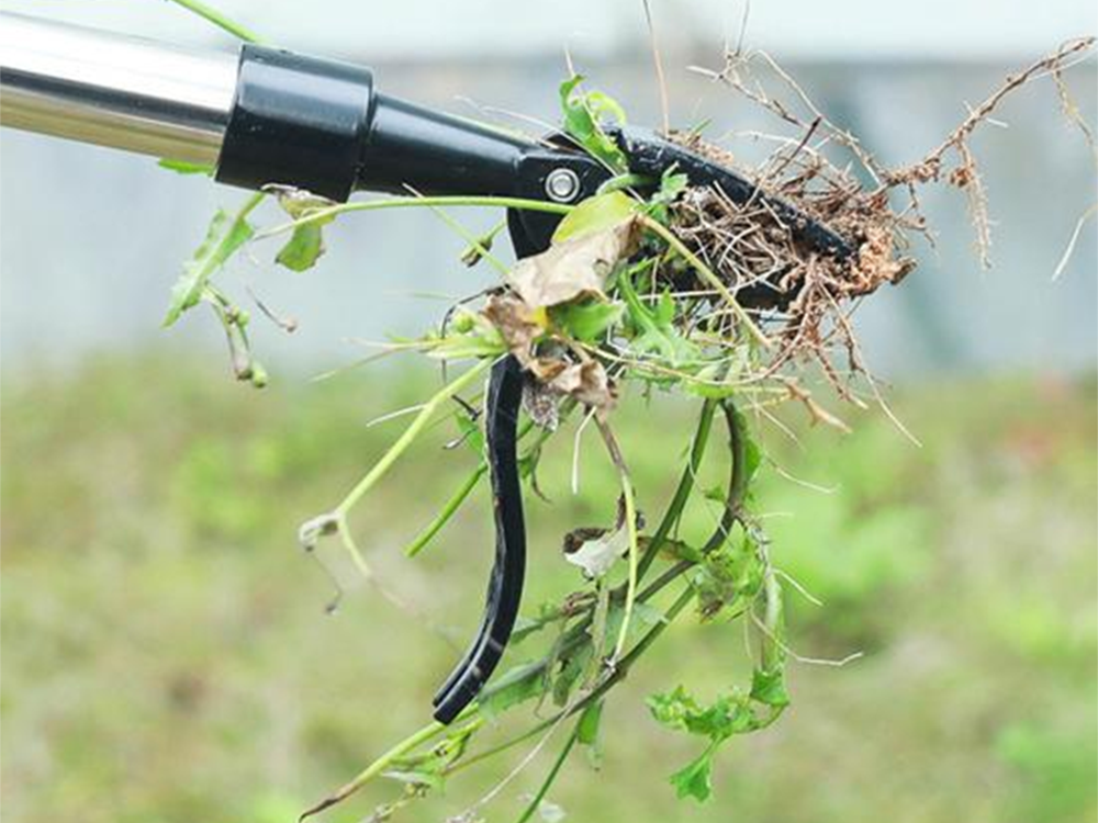Nezāļu izravēja ekstraktora instruments