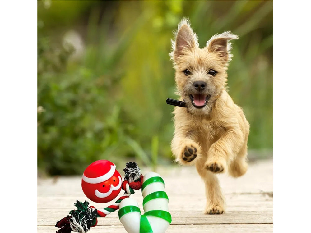 Suņu rotaļlietu komplekts, suņu košļājamās rotaļlietas, 3 gab., jauktas rotaļlietas svētku dāvanai